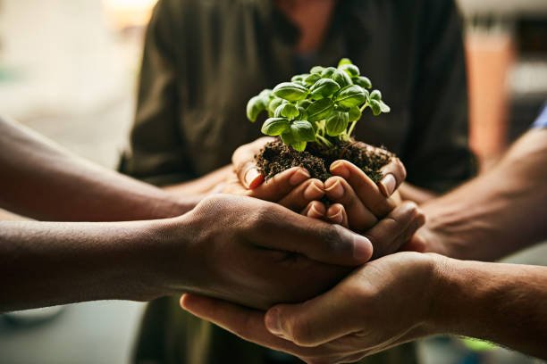 Community Development